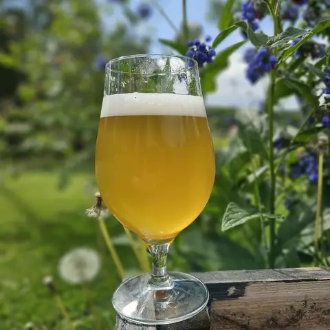 Hazy Monk image